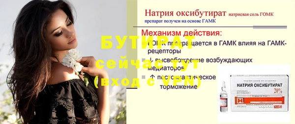 индика Гусь-Хрустальный