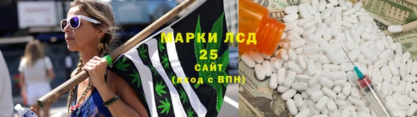 индика Гусь-Хрустальный