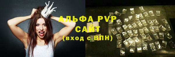 индика Гусиноозёрск