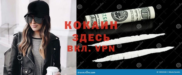индика Гусь-Хрустальный