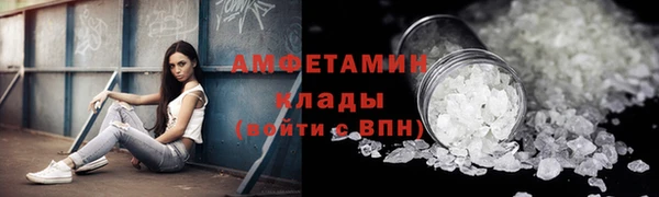 индика Гусь-Хрустальный