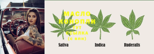 индика Гусь-Хрустальный