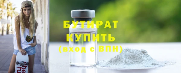 индика Гусь-Хрустальный