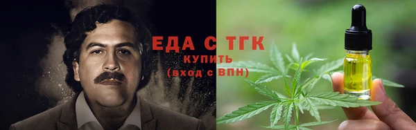 индика Гусиноозёрск