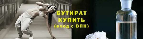 индика Гусиноозёрск