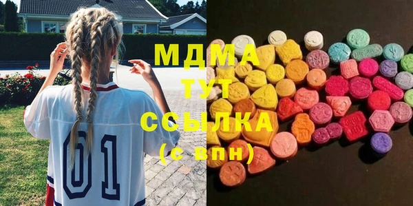 индика Гусиноозёрск