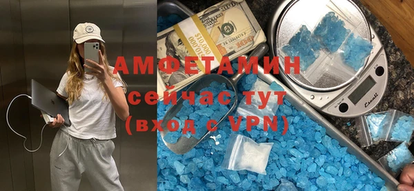 индика Гусь-Хрустальный
