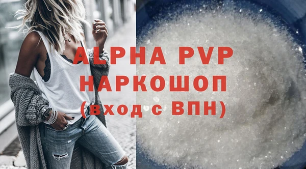 индика Гусь-Хрустальный