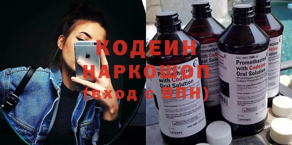 индика Гусиноозёрск