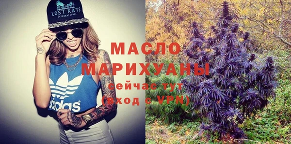 индика Гусь-Хрустальный