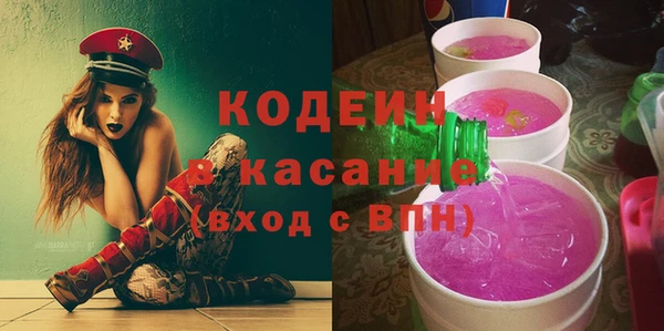 индика Гусь-Хрустальный