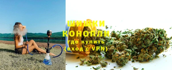 индика Гусиноозёрск