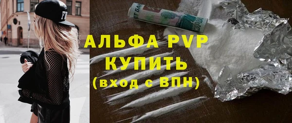 индика Гусиноозёрск
