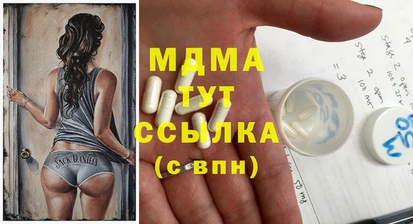 индика Гусь-Хрустальный