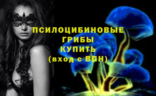 индика Гусиноозёрск