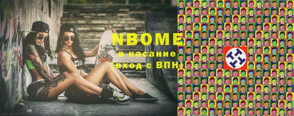 индика Гусиноозёрск